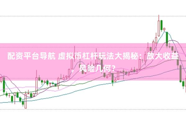 配资平台导航 虚拟币杠杆玩法大揭秘：放大收益，风险几何？