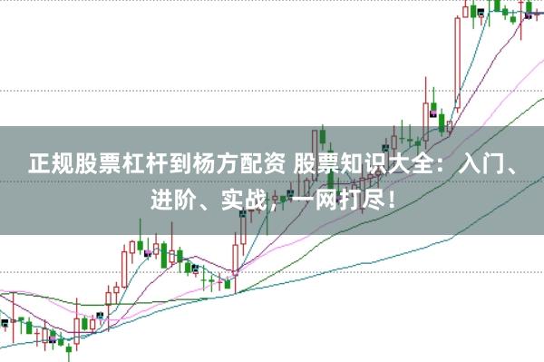 正规股票杠杆到杨方配资 股票知识大全：入门、进阶、实战，一网打尽！