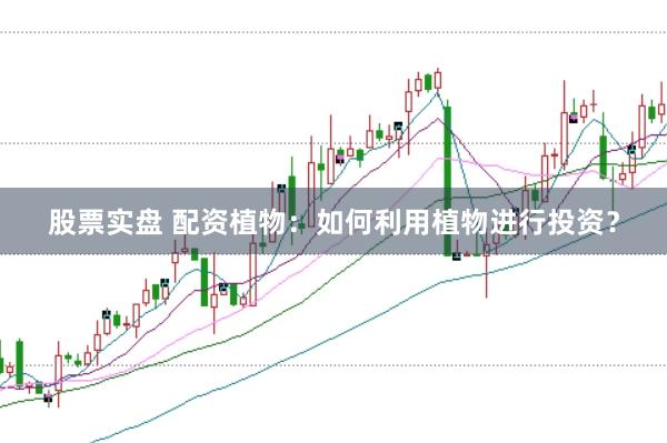 股票实盘 配资植物：如何利用植物进行投资？