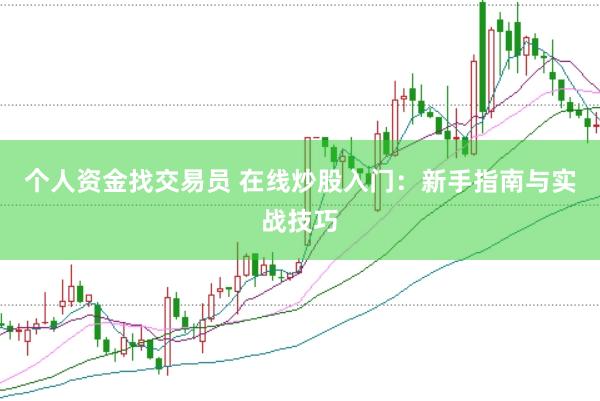 个人资金找交易员 在线炒股入门：新手指南与实战技巧