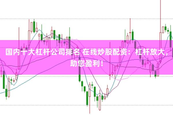 国内十大杠杆公司排名 在线炒股配资：杠杆放大，助您盈利！
