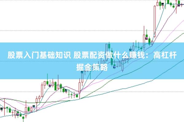 股票入门基础知识 股票配资做什么赚钱：高杠杆掘金策略