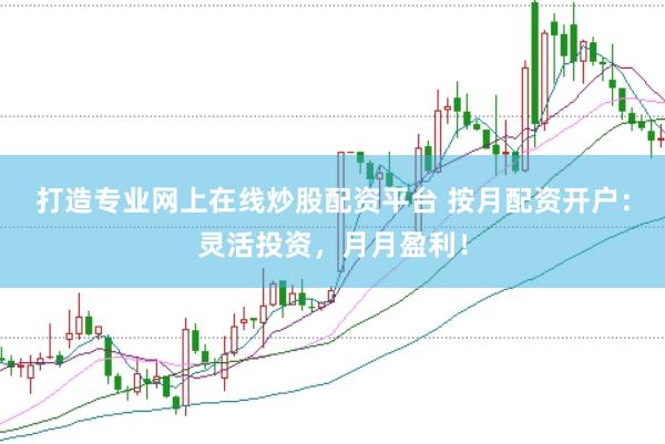 打造专业网上在线炒股配资平台 按月配资开户：灵活投资，月月盈利！