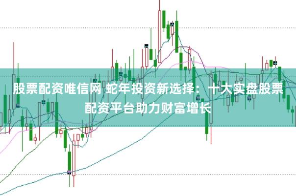 股票配资唯信网 蛇年投资新选择：十大实盘股票配资平台助力财富增长