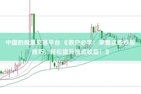 中国的股票交易平台 《散户必学：掌握这些炒股技巧，轻松提升投资收益！》