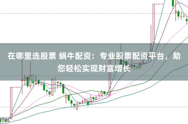在哪里选股票 蜗牛配资：专业股票配资平台，助您轻松实现财富增长