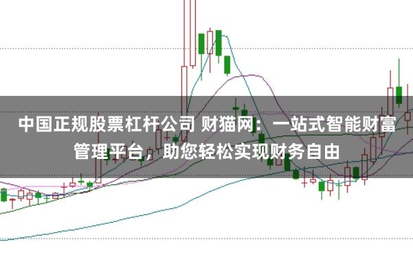 中国正规股票杠杆公司 财猫网：一站式智能财富管理平台，助您轻松实现财务自由