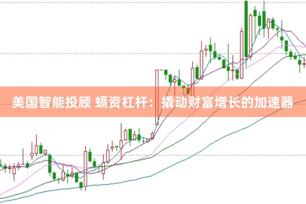美国智能投顾 螎资杠杆：撬动财富增长的加速器