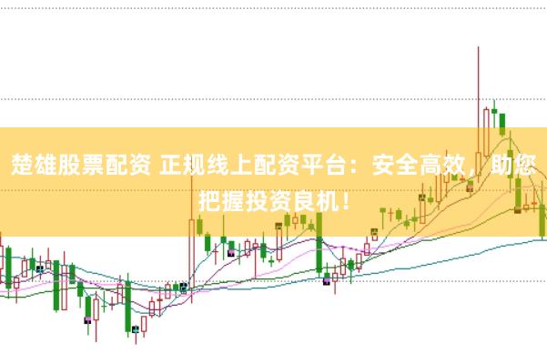 楚雄股票配资 正规线上配资平台：安全高效，助您把握投资良机！