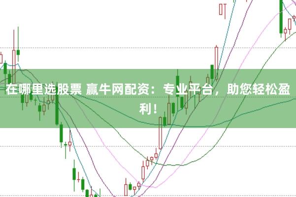 在哪里选股票 赢牛网配资：专业平台，助您轻松盈利！