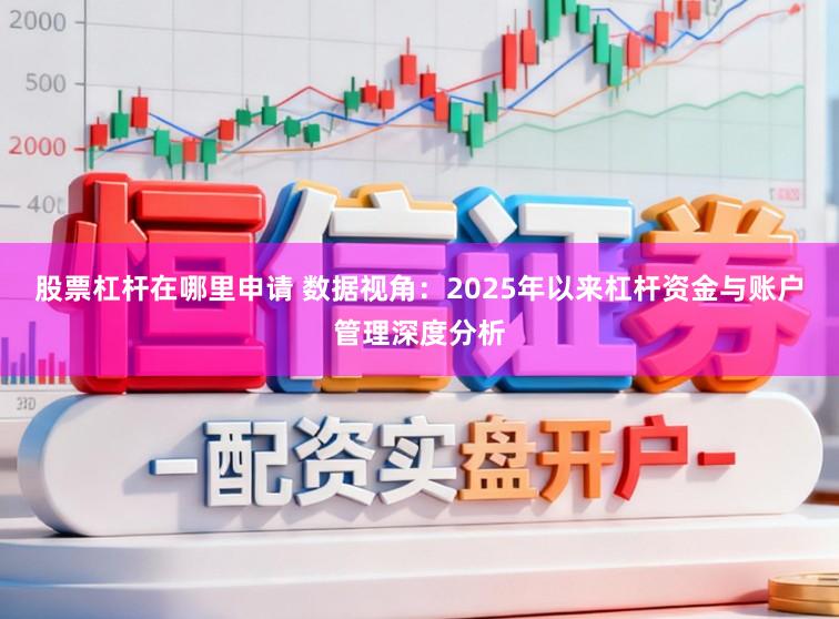 股票杠杆在哪里申请 数据视角:2025年以来杠杆资金与账户管理深度分析
