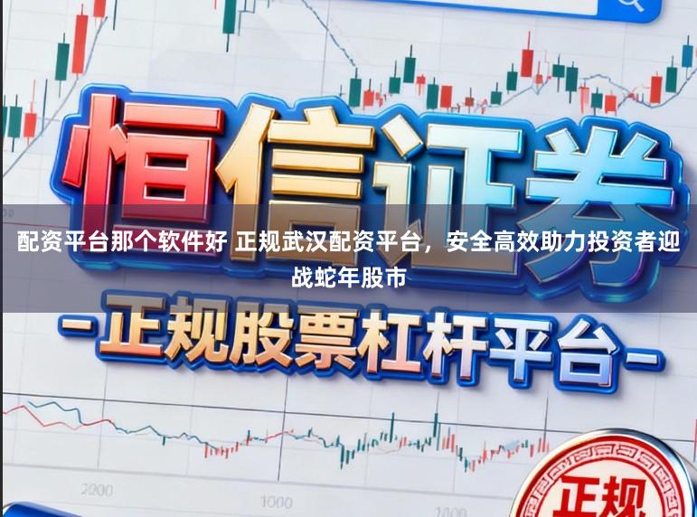 配资平台那个软件好 正规武汉配资平台，安全高效助力投资者迎战蛇年股市